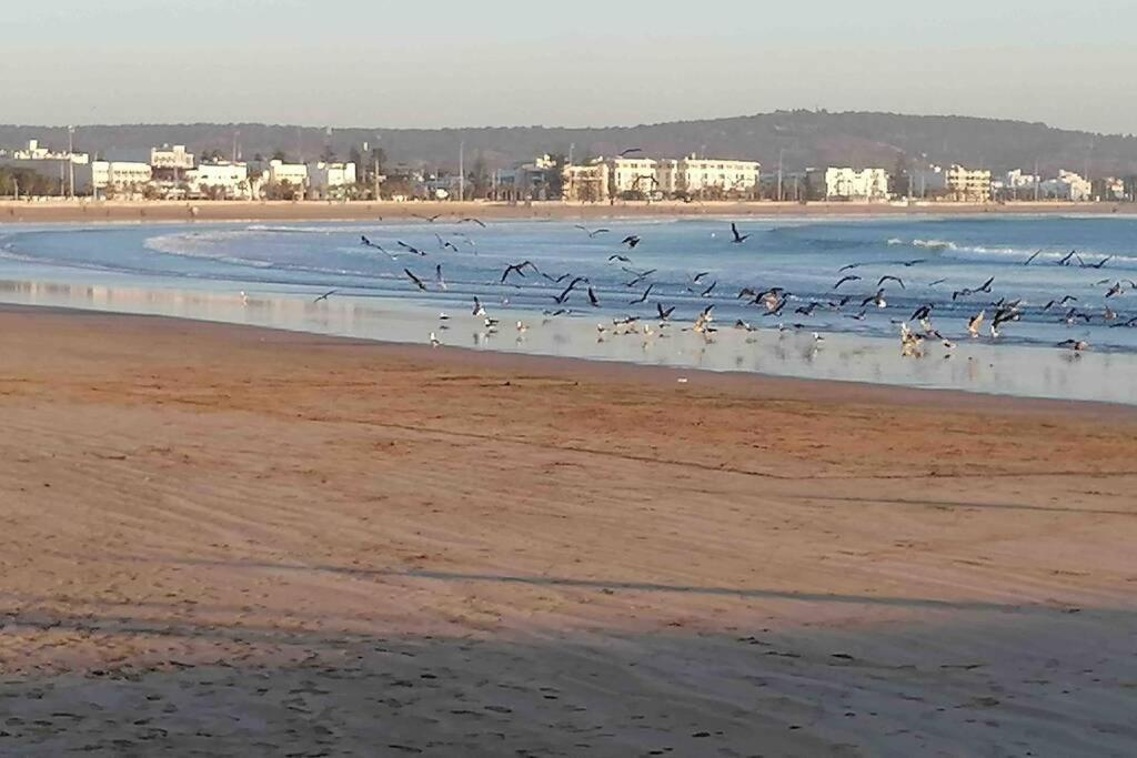 Darsal-Bwindi, Pour Tomber Amoureux D'Essaouira ! Villa Kültér fotó