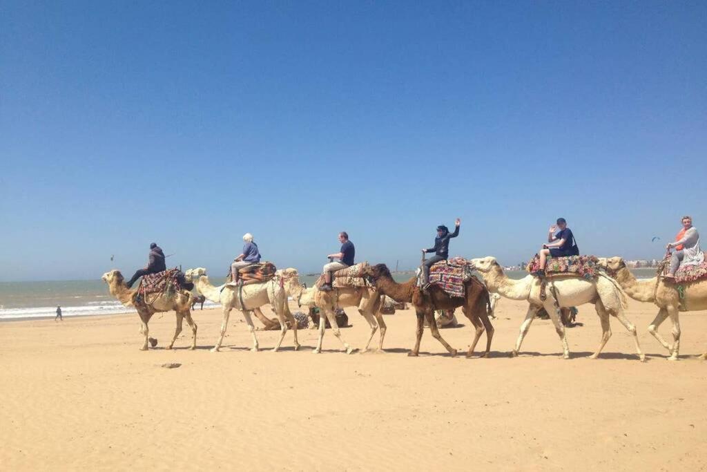 Darsal-Bwindi, Pour Tomber Amoureux D'Essaouira ! Villa Kültér fotó